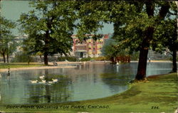 Duck Pond, Washington Park Postcard