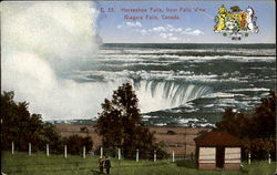 Horseshoe Falls Postcard