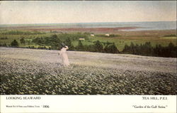 Looking Seaward Tea Hill, PE Canada Prince Edward Island Postcard Postcard