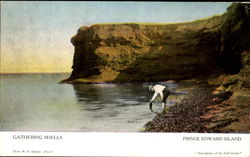 Gathering Shells Prince Edward Island Canada Postcard Postcard