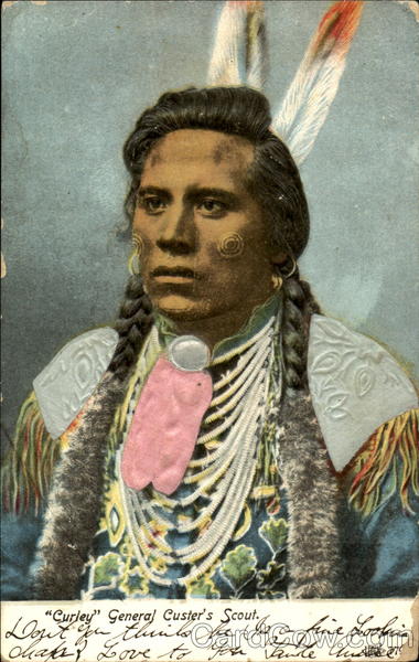 Curley General Custer's Scout Native Americana