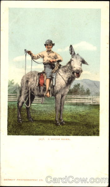 A Rough Rider Cowboy Western