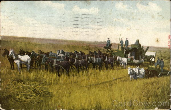 Horse-Drawn Harvester Farming