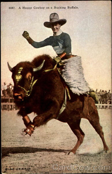 A Happy Cowboy On A Bucking Buffalo Cowboy Western