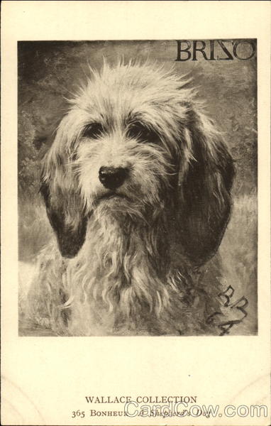 Bonheur A Shepherd's Dog Dogs