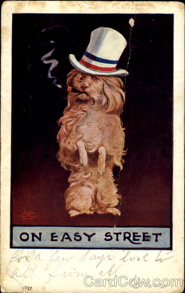 On Easy Street Dogs