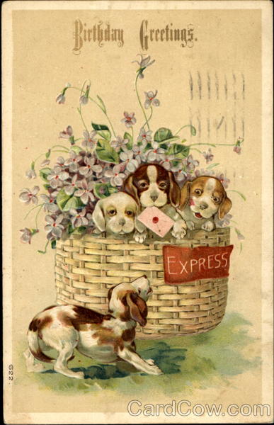 Birthday Greetings Dogs
