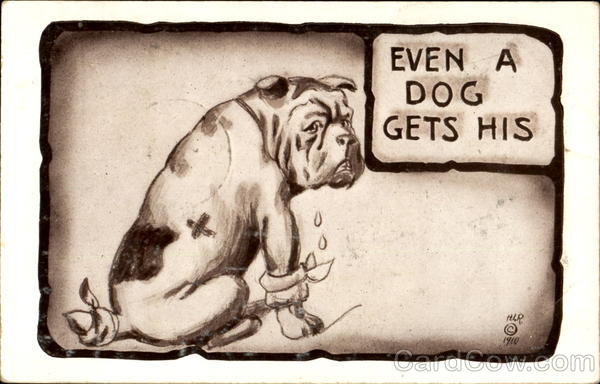 Even A Dog Gets His Dogs