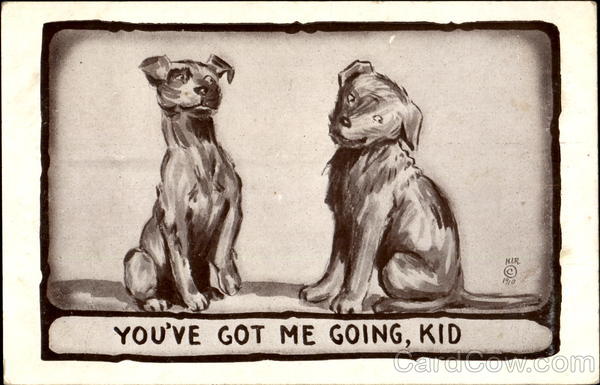 You'Ve Got Me Going Kid Dogs