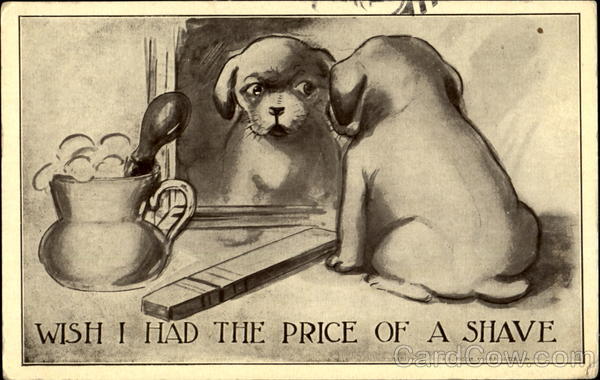 Wish I Had The Price Of A Shave Dogs