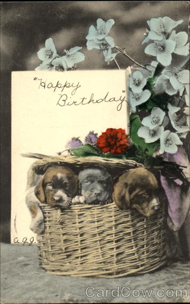Happy Birthday Dogs