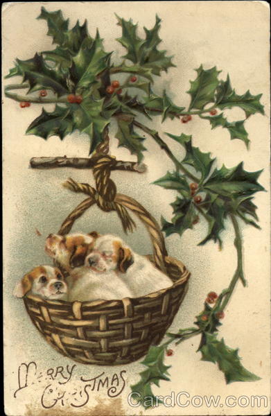 Merry Christmas Dogs