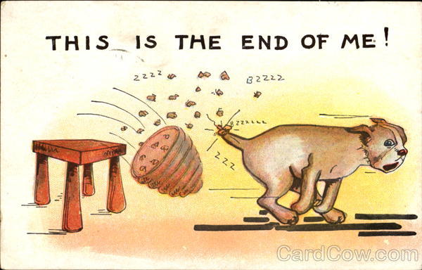 This Is The End Of Me! Dogs