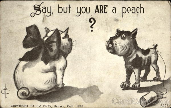 Say But You Are A Peach? Dogs