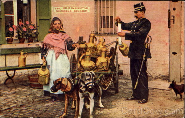 Milk Inspector Brussels Belgium Dogs