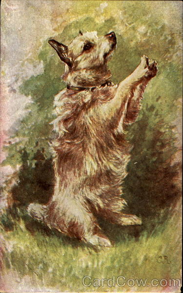 Begging Dog Georges Ritleng Dogs