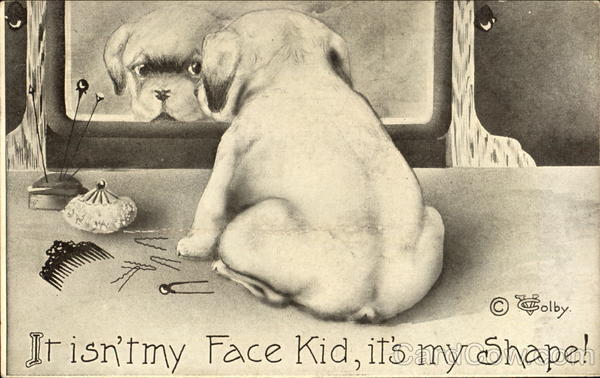 It Isn't My Face Kid It's My Shape! Dogs
