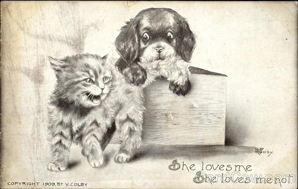 She Loves Me She Loves Me Not Dogs