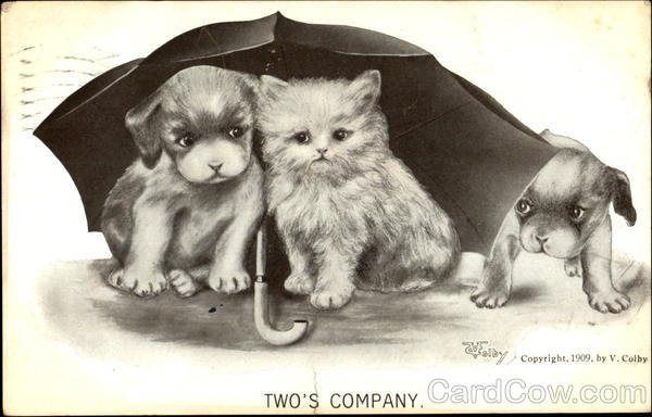 Two's Company Dogs