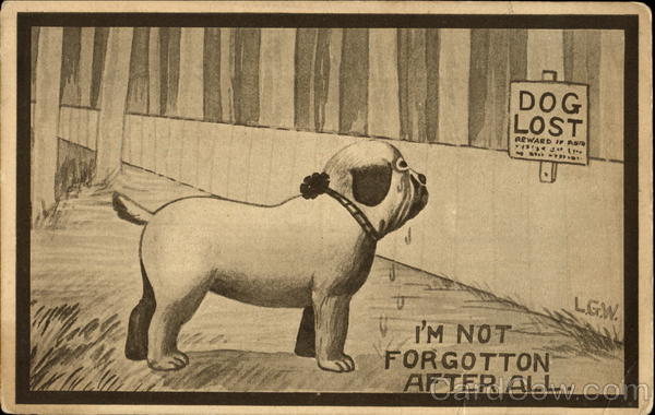 I'm Not Forgotten After All Dogs