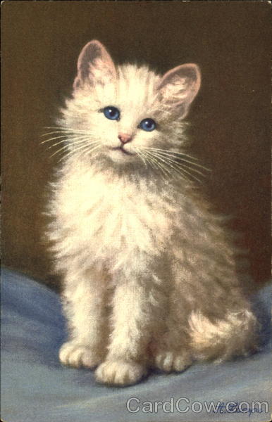 Kitten A. Lampe Cats