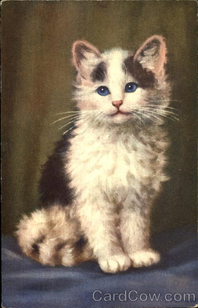 Kitten A. Lampe Cats