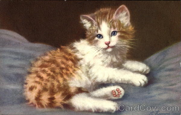 Kitten A. Lampe Cats