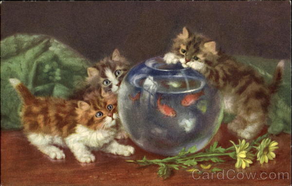 Kittens Fishbowl Daniel Merlin Cats