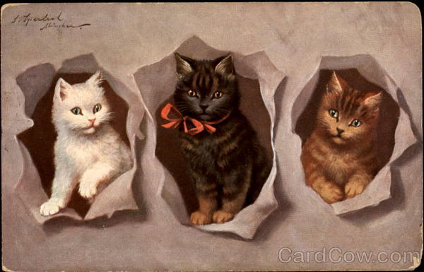 Three Kittens Sofie Sperlich Cats