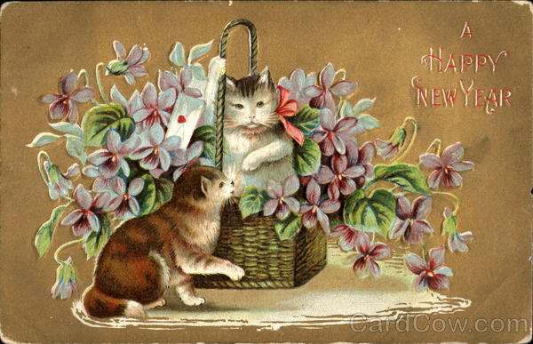 A Happy New Year Cats
