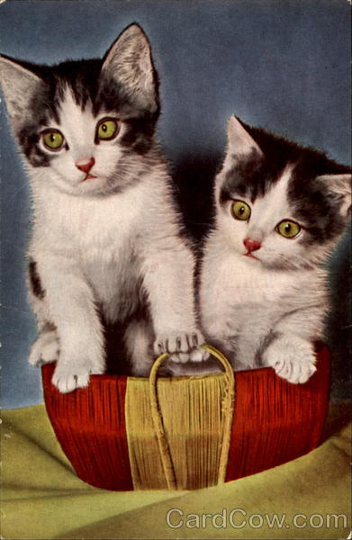 Kittens in Basket Cats