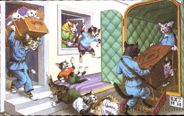 Moving Day Cats