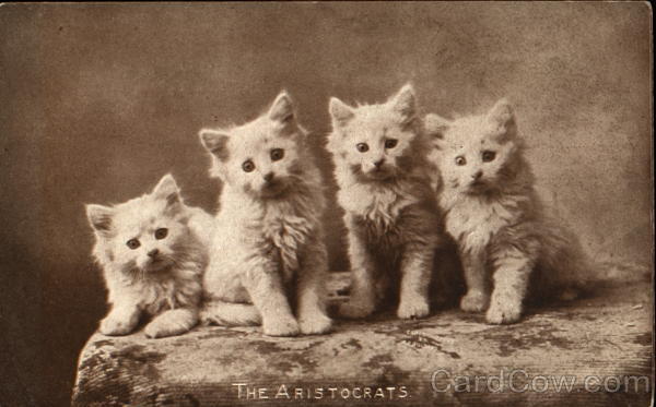 The Aristocrats Cats