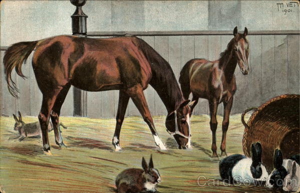 Horses & Rabbits