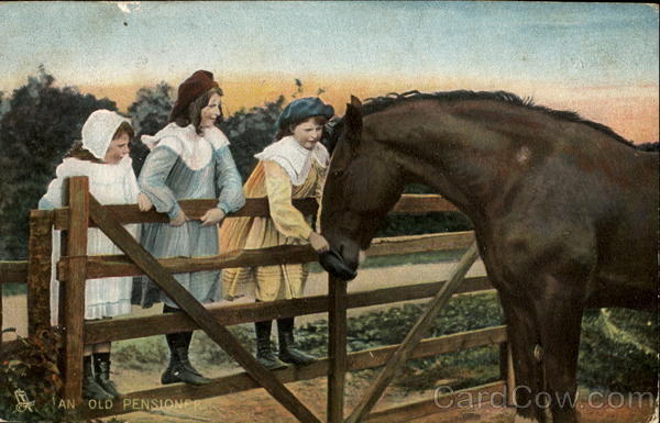 An Old Pensioner Horses