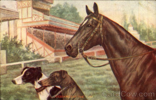 Kings Of The Turf Horses