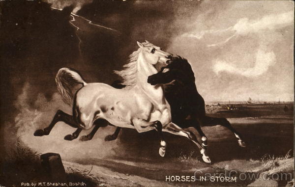 Horses In Storm