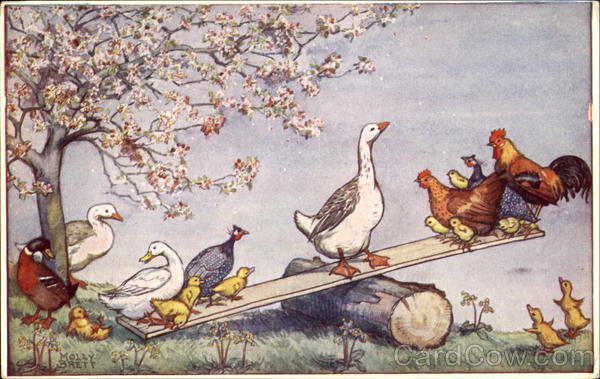 Fun On The Farm Molly Brett Multiple Animals