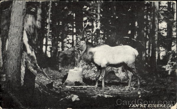 I Am At Eureka California