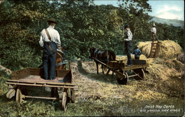 Irish Hay Carts With Primitive Solid Wheels Farming