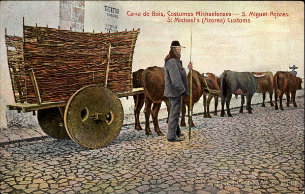 Carro De Bois Costumes Michaelenses Azores Spain