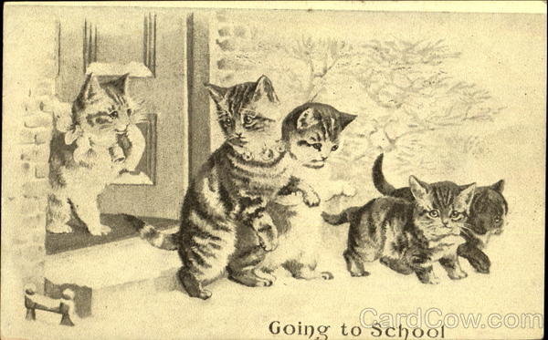 Going To School Cats