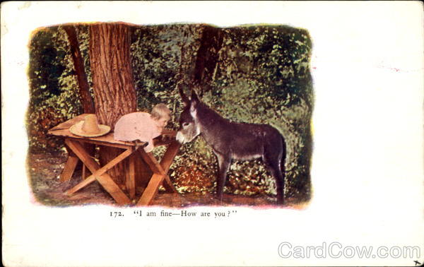 I Am Fine - How Are You? Donkeys