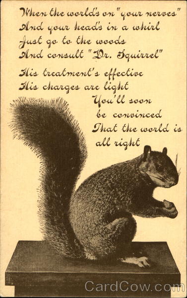 Squirrel