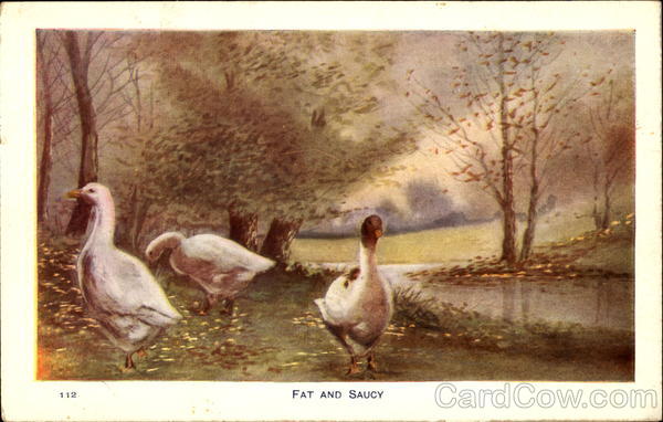 Fat And Saucy Advertising