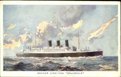 Anchor Line-T.S.S. Caledonia Postcard