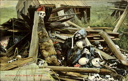 An Indian Burial Ground In The West Native Americana Postcard Postcard
