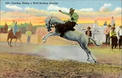 Cowboy Riding A Wild Bucking Broncho Postcard