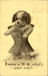 I Wear A No. 16 What's Your Size? Postcard