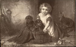 Which Do You Like? Postcard